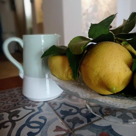 Casa Carlotta Βίλα Monopoli Εξωτερικό φωτογραφία