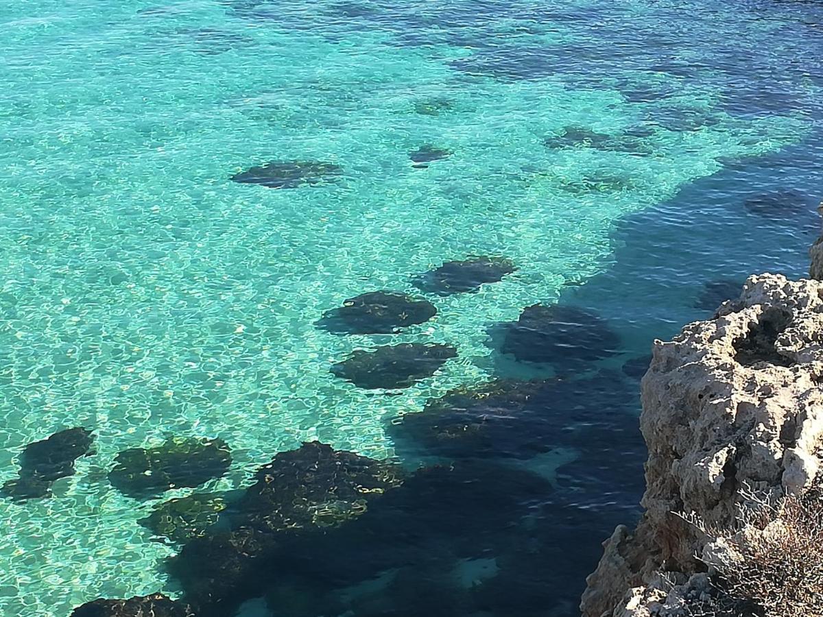 Casa Carlotta Βίλα Monopoli Εξωτερικό φωτογραφία