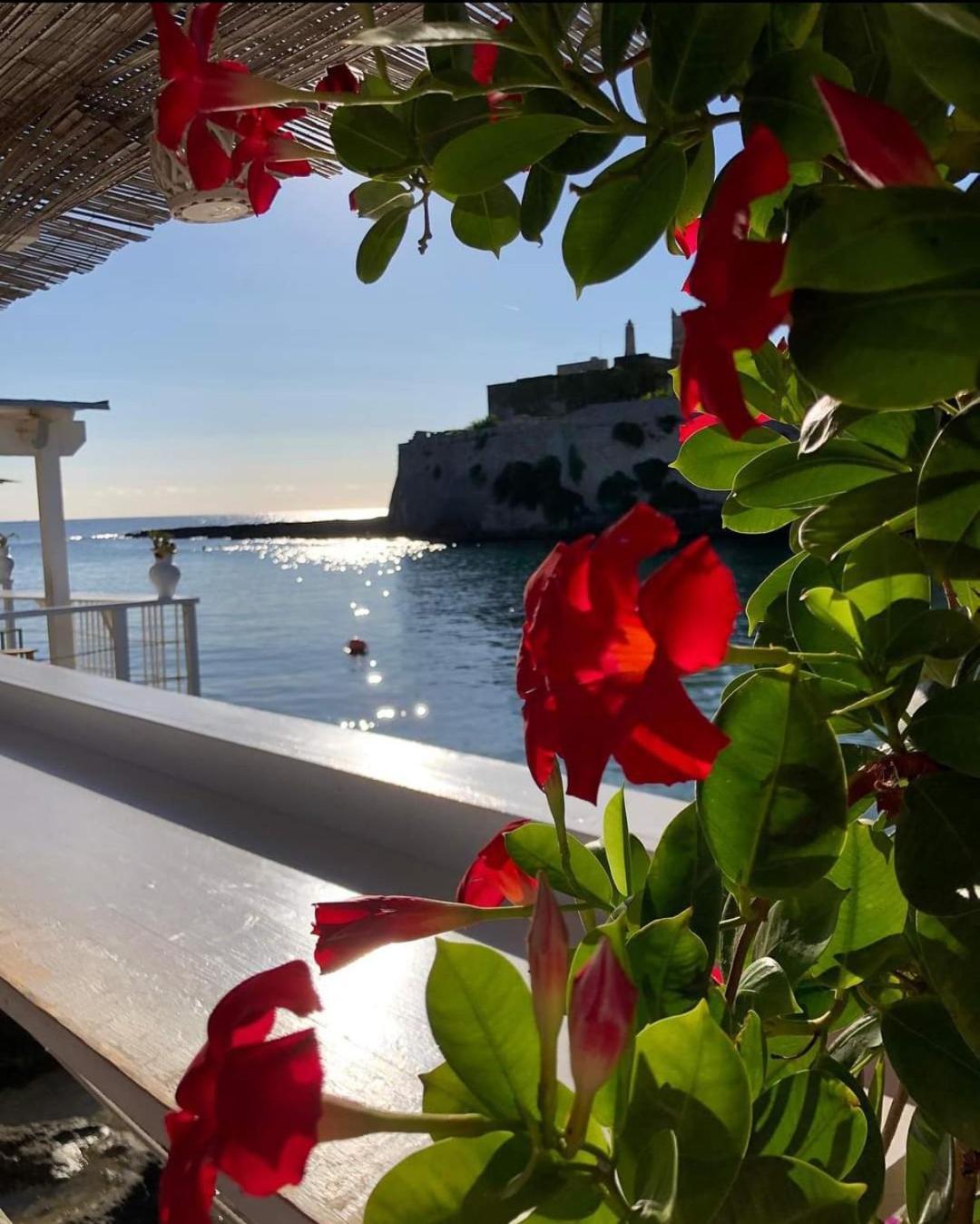 Casa Carlotta Βίλα Monopoli Εξωτερικό φωτογραφία