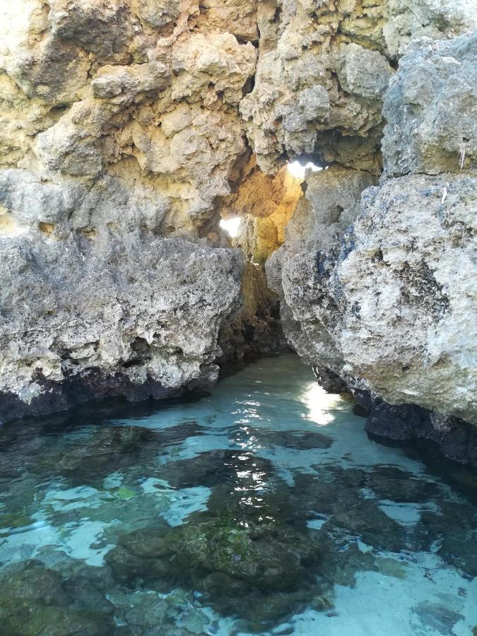 Casa Carlotta Βίλα Monopoli Εξωτερικό φωτογραφία